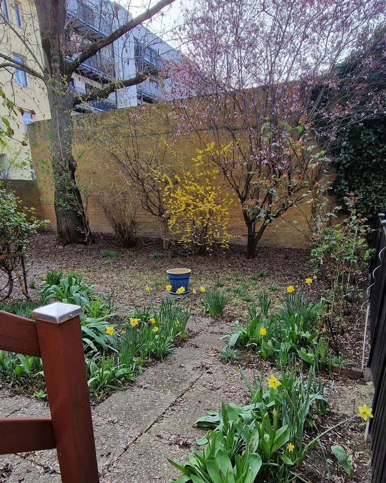 Wunderschöne 2 Raumwohnung mit großem Garten für Gartenfreunde in Magdeburg