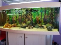 Aqualux Panorama Aquarium Bayern - Langenzenn Vorschau