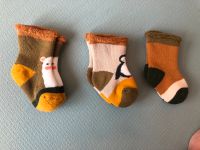 Babysocken 3er Set NEU Größe 14 -15 Dresden - Briesnitz Vorschau