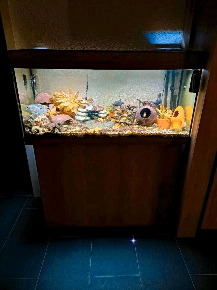 Aquarium Juwel inkl. Zubehör, 180 Liter in Mötzingen