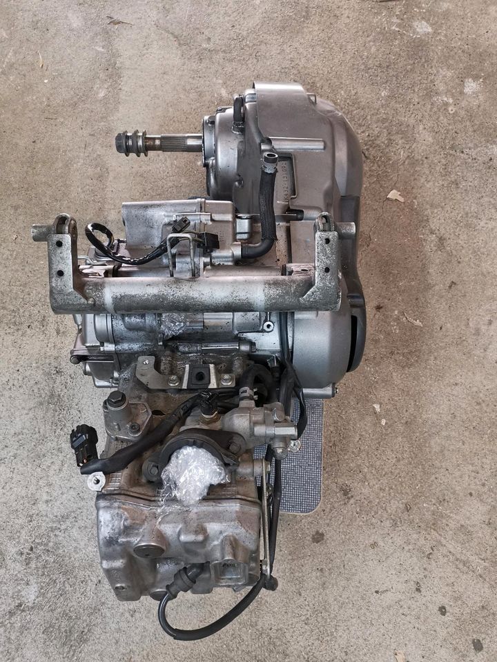 Motor Suzuki Burgman 400 Burgmann in Unna