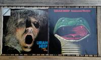 2x Uriah Heep Vinyl Schallplatten Prog Hard Rock Heavy Konvolut Rheinland-Pfalz - Oberwesel Vorschau
