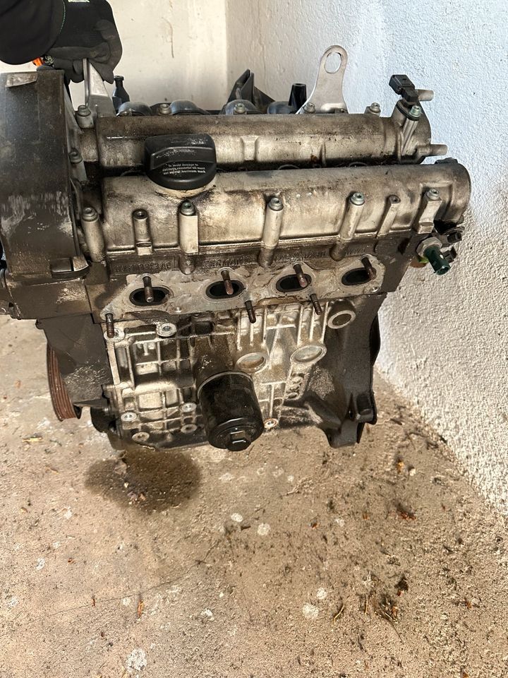 Golf 4 1,4 AXP Motor in Oberdreis