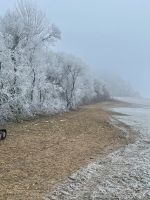 Rückschnitt im Garten, Wald, Wiese mit Holzhäcksler , (Heizohack) Baden-Württemberg - Erbach Vorschau