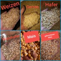 Hühnerfutter, Weizen, Gerste, Hafer, gebrochener Mais,  Pferde Nordrhein-Westfalen - Bünde Vorschau