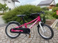 Puky cyke 16 Zoll Rheinland-Pfalz - Holzheim Vorschau