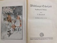 „Wildfangs Schulzeit“ (Kinderbuch 1930) Mecklenburg-Vorpommern - Quadenschönfeld Vorschau