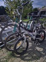 Drei Fahrräder Brandenburg - Kloster Lehnin Vorschau