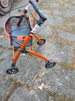 Mobilstar Jaguar Rollstar *Neu* Essen - Essen-Ruhrhalbinsel Vorschau