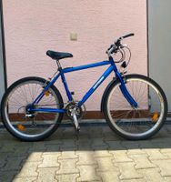 Hoffmann Fahrrad Trekking Mountainbike 26 Zoll blau Jungendrad Rheinland-Pfalz - Landstuhl Vorschau