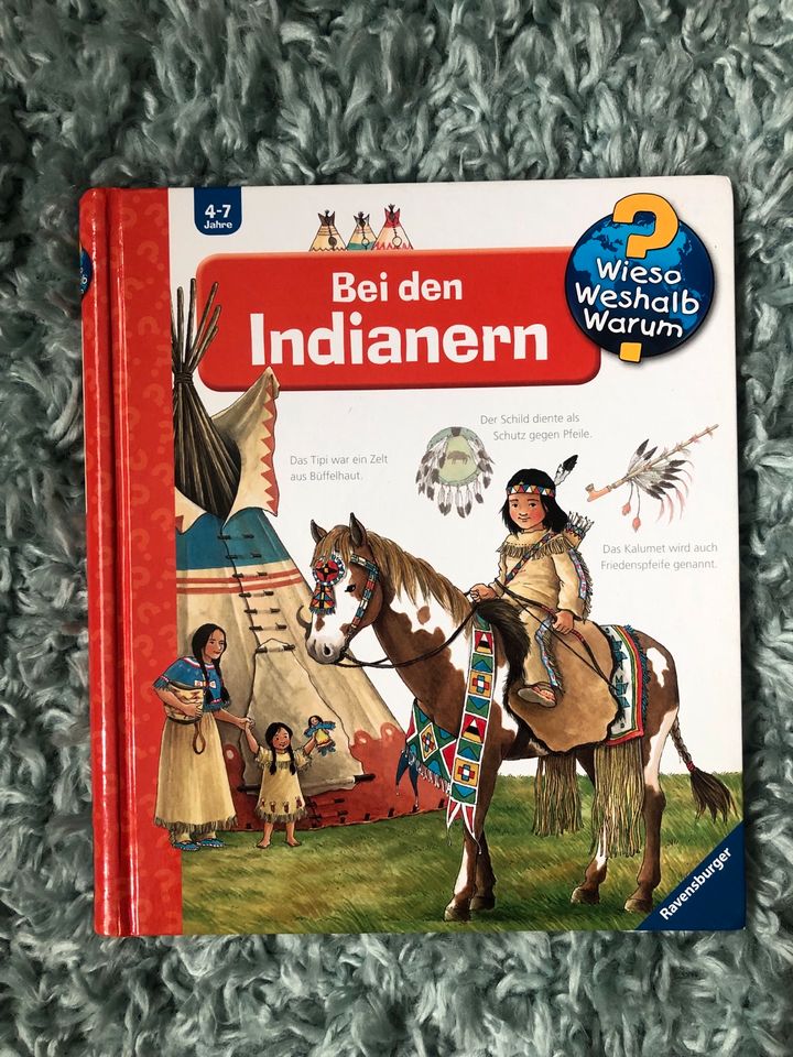 Kinderbuch Wissen Indianer Wieso Weshalb Warum Lernbuch 4-7 Jahre in Steinmauern