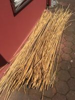 Bambusstäbe, Pflanzstöcke 10Stck Nordrhein-Westfalen - Schwerte Vorschau