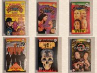 WWF VHS Survivor Series 1991-1999 WWE Wrestling Video Sachsen - Schwarzenberg (Erzgebirge) Vorschau