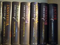 P.C. Cast Kristin Cast House Of Night 1-12 gebundene Ausgaben Hessen - Biblis Vorschau