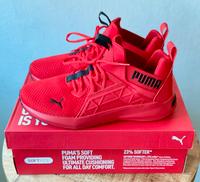 Herren, Sport, Laufschuh, Puma, Softride Enzo, Gr. 43 / UK 9, Neu Niedersachsen - Sittensen Vorschau
