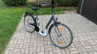 Zündapp Damen Fahrrad City Bike RED 4.0 26 Zoll Osterfeld - Waldau Vorschau