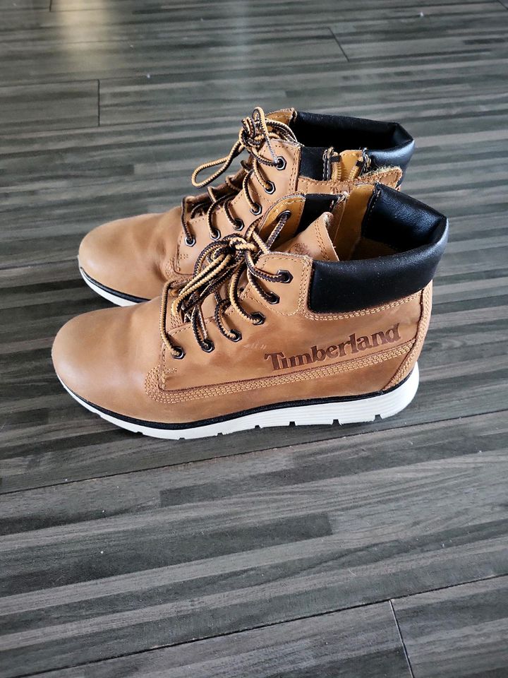 Timberland Halbschuhe Gr. 35 in Trier