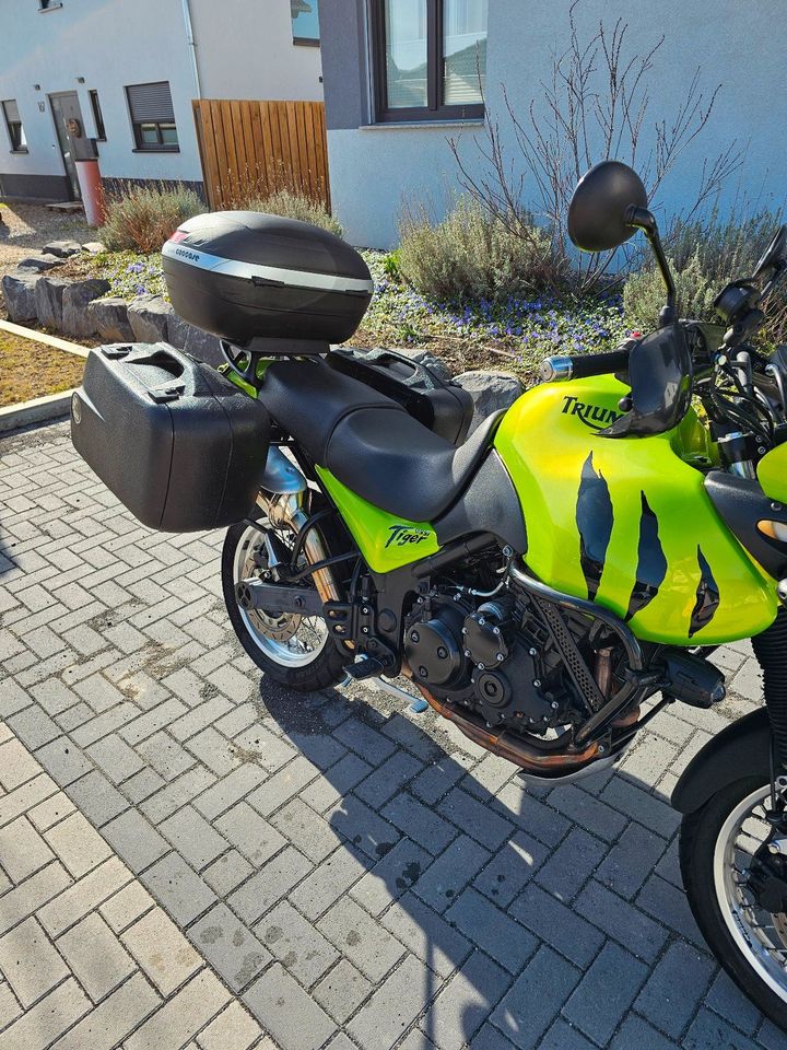 Motorrad Triumph Tiger 955i in Euskirchen