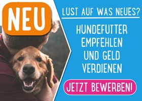 Vertrieb Hundefutter (Hundebesitzer gesucht) in Dietmannsried