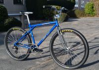 GT Saddleback 1997 - Retro MTB BMX Cruiser Eimsbüttel - Hamburg Lokstedt Vorschau