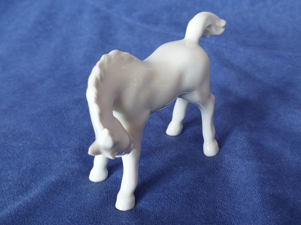 Graefenthal Fohlen weiß Pferde Porzellan Figur Pferdefigur alt in Wehr