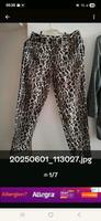 Damenhose Stretch Von Fashion Team Größe XXL/44 Berlin - Spandau Vorschau