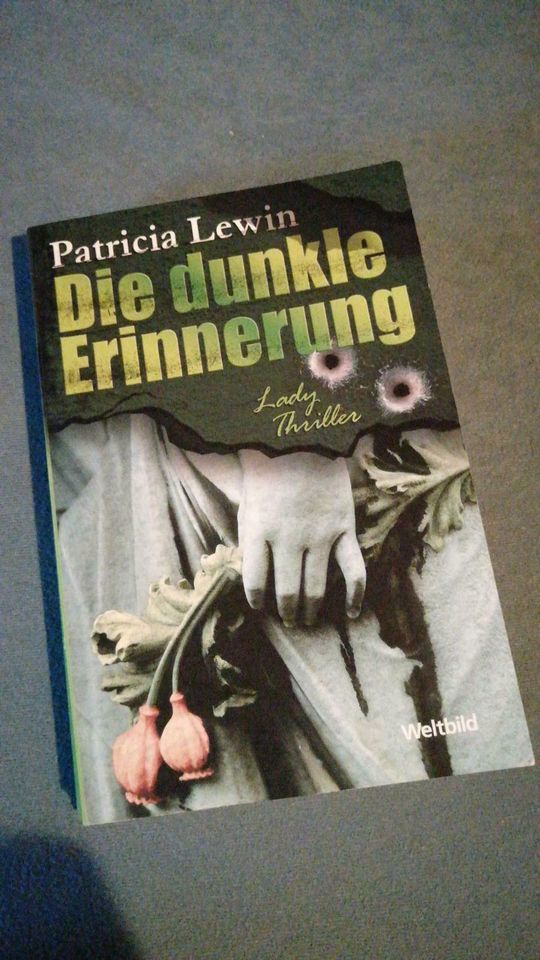 Die dunkle Erinnerung, Thriller von Patricia Lewin, Weltbild Seri in Wallertheim