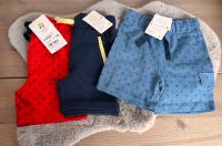 Shorts kurze Hosen Sommer Jungen 80 86 Set Radler Jogger Bayern - Vogtareuth Vorschau