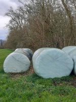 Silageballen Grassilage Heulage  Rundballen Niedersachsen - Göttingen Vorschau