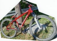 Dirtbike Wheeler Rad Fahrrad Mountainbike 26 Zoll Jugend Baden-Württemberg - Metzingen Vorschau