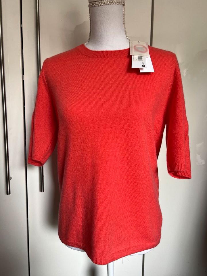 Notshy Kaschmir Pullover XL 42 Oberteil neu in Essen