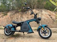 E Chopper Ecruiser Elektromoped nur noch 1 übrig in Matt Grün NEU Rheinland-Pfalz - Bad Dürkheim Vorschau