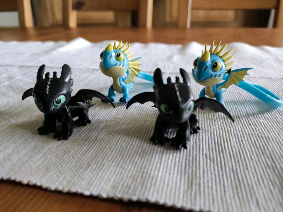 Playmobil Tagschatten mit 2 Babydrachen und Fischkorb in Glandorf