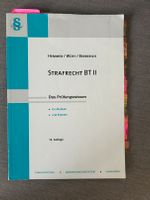 Strafrecht BT I & II Baden-Württemberg - Mannheim Vorschau