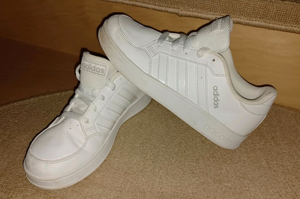 Adidas Schuhe Größe 36 in Gotha