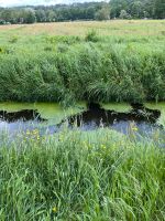 Zuhause gesucht Elberfeld - Elberfeld-West Vorschau