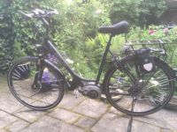 E-Bike Westland (Damen) Münster (Westfalen) - Coerde Vorschau