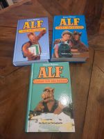 Alf Bücher 3 Stück Büttner 90er Buch 80er zur Serie Niedersachsen - Geestland Vorschau