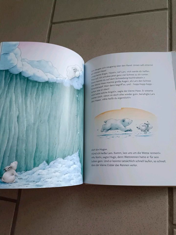 Kinderbuch "der kleine Eisbär" in Siek