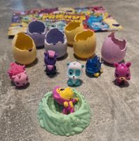 6 Hatchimals Colleggtibles Figuren und Nest mit Eiern Nordrhein-Westfalen - Wesel Vorschau