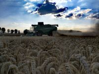 Landwirt in Festanstellung Niedersachsen - Emstek Vorschau