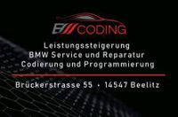 Motorinnenreinigung Entfernt alle Rußablagerungen Carbon Cleaning Brandenburg - Beelitz Vorschau