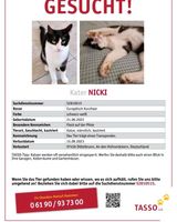 Kater Nicki ( Katze) verschwunden/ wird vermisst Bayern - Dittelbrunn Vorschau