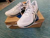 Asics Tennisschuh Allcourt Hessen - Hofheim am Taunus Vorschau