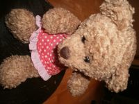 Teddy Mädchen mit Kleid in rosa, frisch gewaschen Obergiesing-Fasangarten - Obergiesing Vorschau