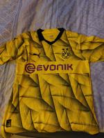 Dortmund Triko Nordrhein-Westfalen - Goch Vorschau