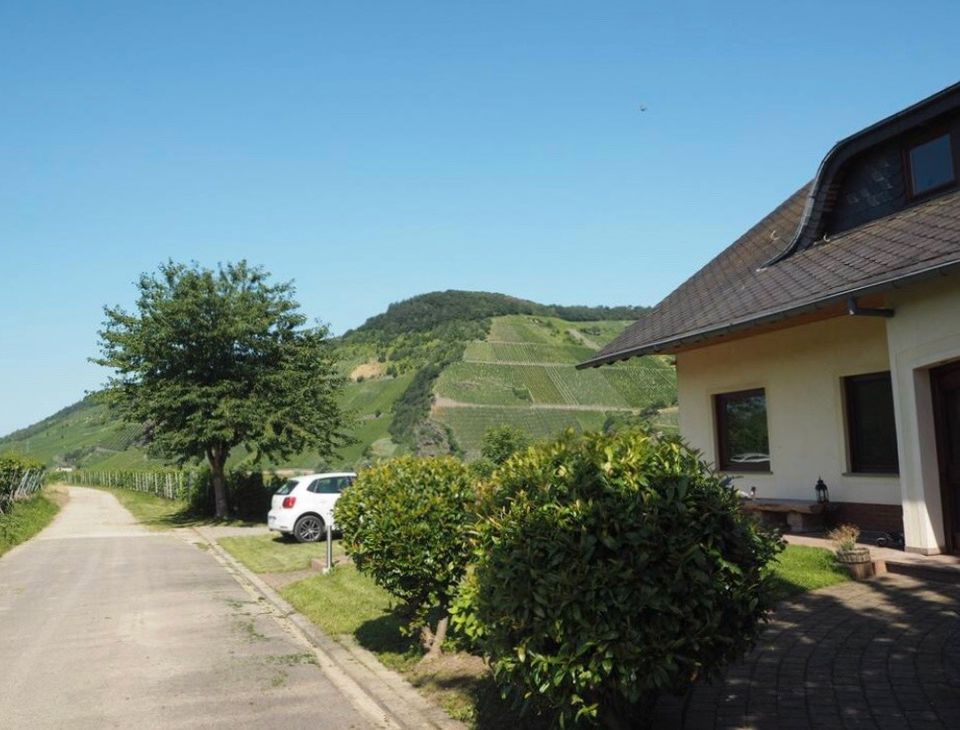 MOSELURLAUB Ferienzimmer mit Panoramablick -Nähe Bernkastel-Kues! in Kesten