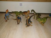 Schleich Dinosaurier Stückpreis Sachsen-Anhalt - Klostermansfeld Vorschau