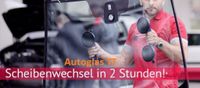 Windschutzscheibe inkl. Einbau BMW 5er E60/E61 Limo/Kombi Bj.07- Essen - Altenessen Vorschau
