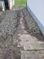 Steine ziersteine zum verschenke Niedersachsen - Belm Vorschau
